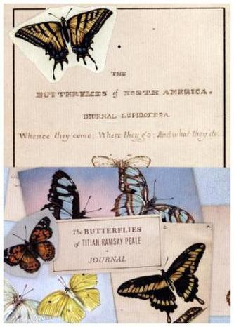 The Butterflies of Titian Ramsay Peale Journal