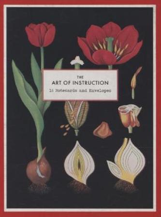 The Art of Instruction Notecard Set