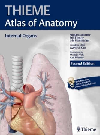 Internal Organs Internal Organs