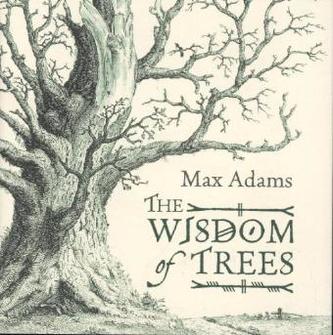The Wisdom Of Trees