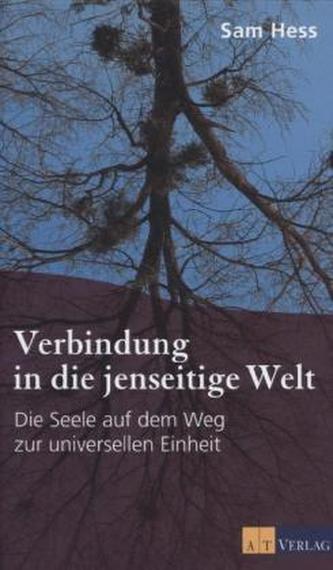 Verbindung in die jenseitige Welt