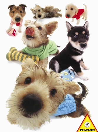 Puzzle 100 d. Hanadeka, Štěňata