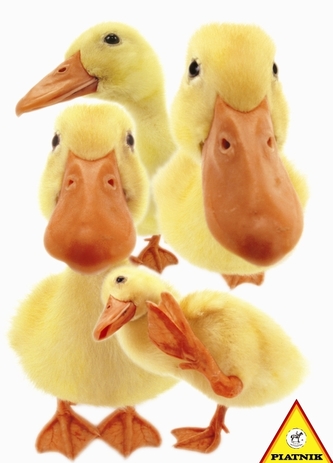 Puzzle 100 d. Hanadeka, Kachny