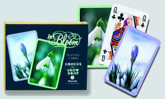 Kanasta - Krokusy a sněženky