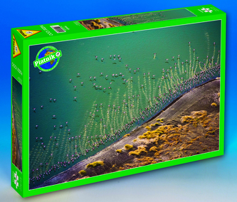 Puzzle 1000 d. Letíme na jih (plameňáci)