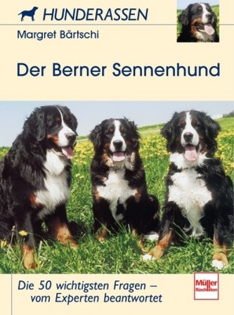 Der Berner Sennenhund
