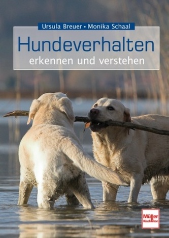 Hundeverhalten erkennen und verstehen