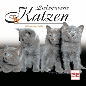Liebenswerte Katzen