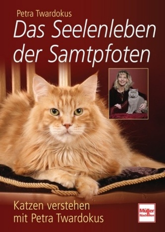 Das Seelenleben der Samtpfoten