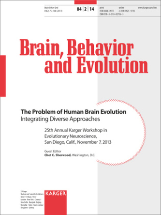 The Problem of Human Brain Evolution