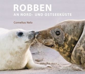 Robben an Nord- und Ostseeküste