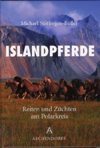 Islandpferde