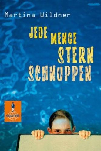 Jede Menge Sternschnuppen Jede Menge Sternschnuppen
