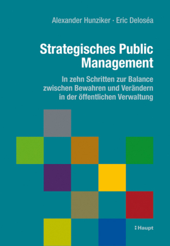 Strategisches Public Management