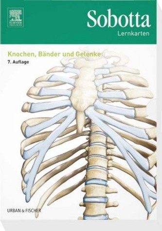 Knochen, Bänder und Gelenke, Lernkarten