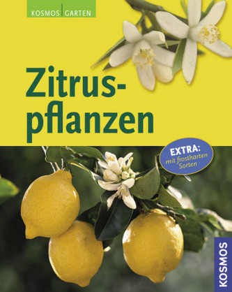 Zitruspflanzen