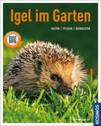 Igel im Garten