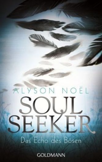 Soul Seeker - Das Echo des Bösen Soul Seeker - Das Echo des Bösen