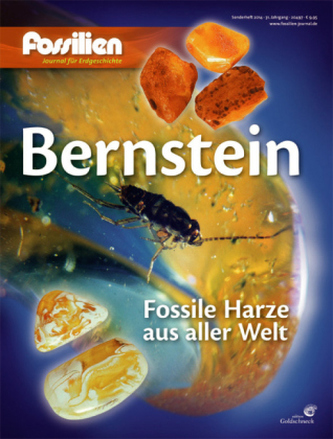Bernstein Bernstein