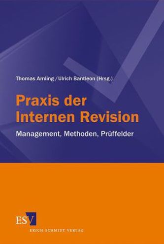 Praxis der Internen Revision