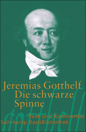 Die schwarze Spinne