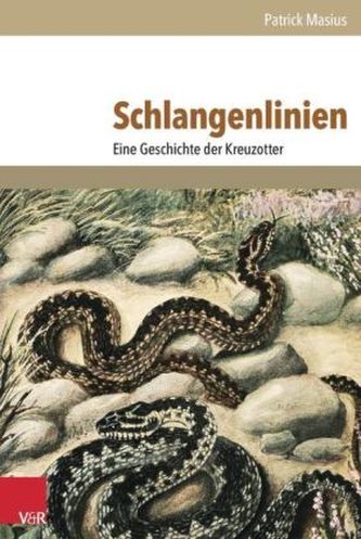 Schlangenlinien