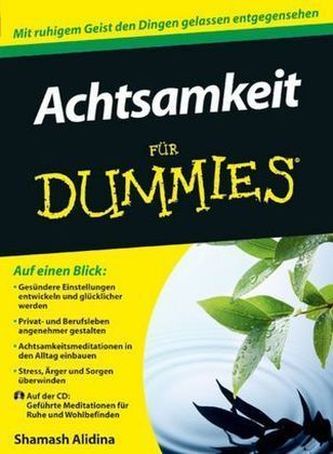 Achtsamkeit für Dummies, m. Audio-CD Achtsamkeit für Dummies, m. Audio-CD