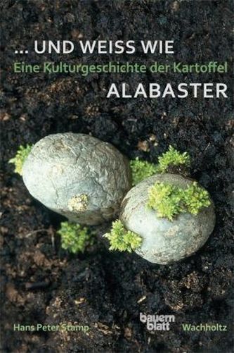 ...und weiß wie Alabaster