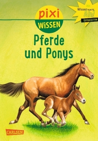 Pferde und Ponys