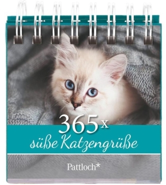 365x süße Katzengrüße