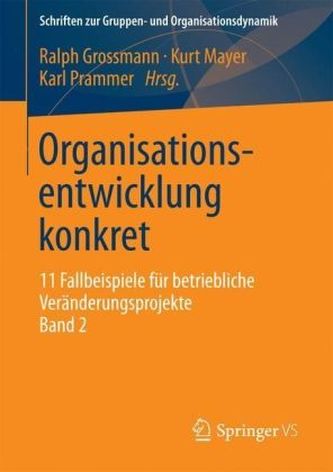 Organisationsentwicklung konkret. Bd.2