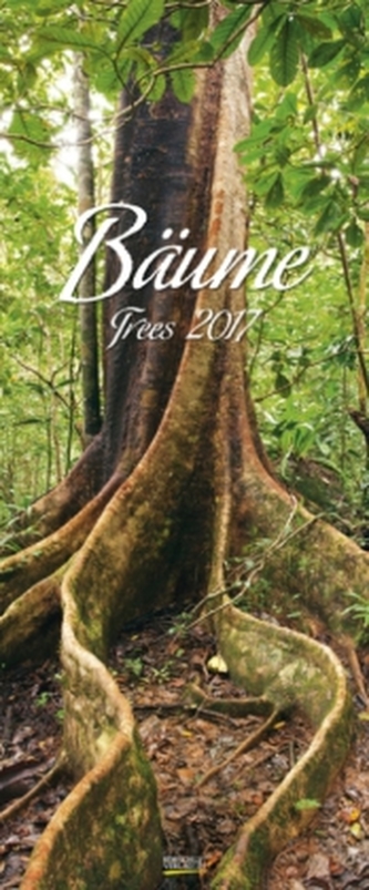 Bäume 2017