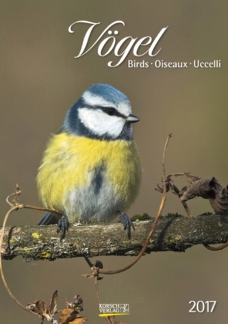 Vögel 2017