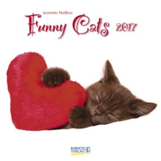 Funny Cats 2017