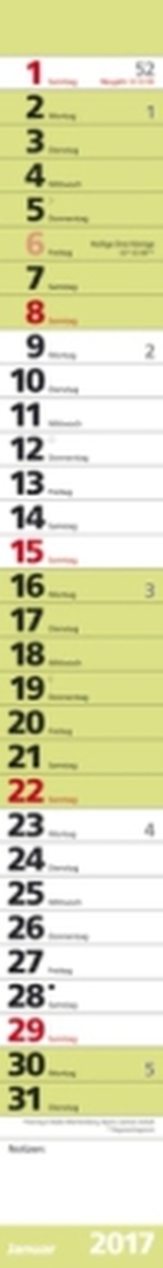 Streifenplaner Colour 2017