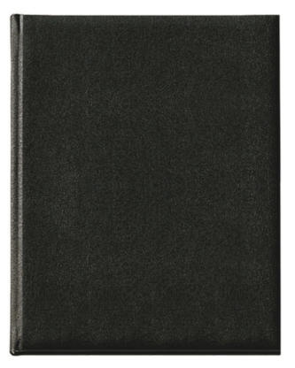 Buchkalender Manager-Timer Balaton schwarz 2017