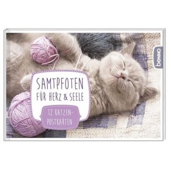 Samtpfoten für Herz & Seele