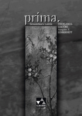 Übergangslektüre Lehrerheft