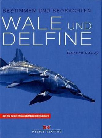Wale und Delfine