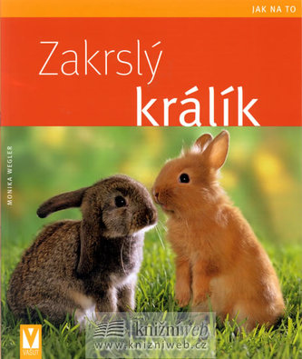 Zakrslý králík