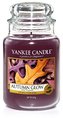 Yankee Candle 623g Autumn Glow