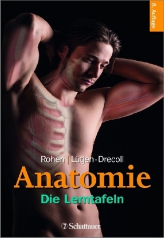 Anatomie - Die Lerntafeln