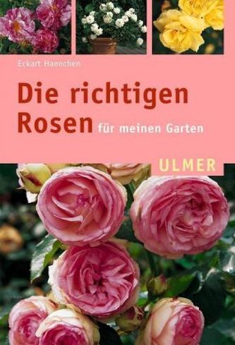 Die richtigen Rosen für meinen Garten