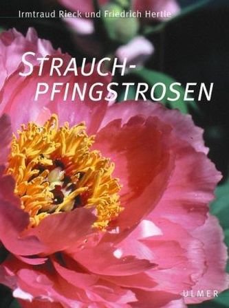 Strauchpfingstrosen