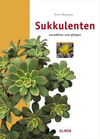 Sukkulenten