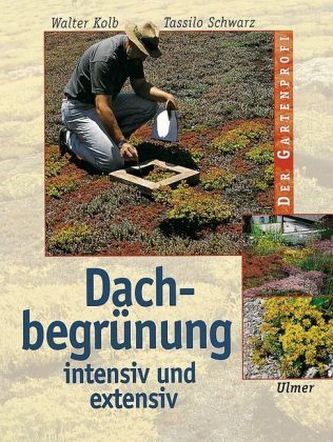 Dachbegrünung intensiv und extensiv