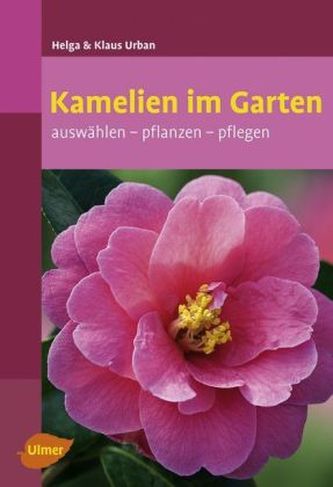 Kamelien im Garten Kamelien im Garten