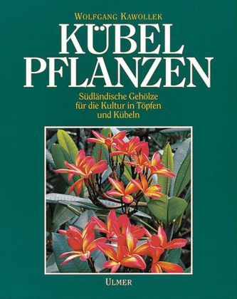 Kübelpflanzen