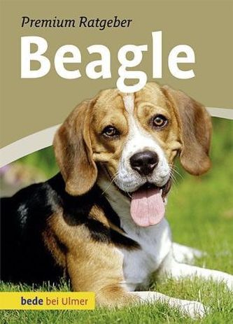 Beagle Beagle