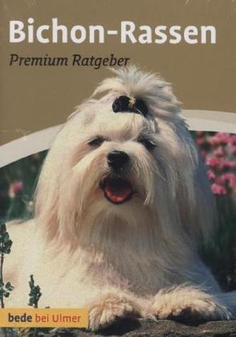 Bichon-Rassen Bichon-Rassen